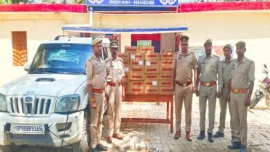 Photo of थाना नगसर हाल्ट पुलिस टीम द्वारा 42 पेटी देशी शराब ब्ल्यू लाईम (प्रति पेटी 45 पाऊच 200 ML) कुल 378 लीटर जिसकी अनुमानित कीमत लगभग 141750/- रुपये व एक अदद चार पहिया वाहन स्कार्पियो बरामद किया गया ।*