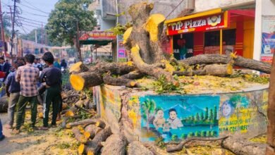 Photo of ऐतिहासिक कंकड़वा बाबा का चबूतरा और पेड़ दोनों गायब होने से लोगों में आक्रोश*। *न्याय प्रिय डी एम से जांच कराये जाने की मांग*