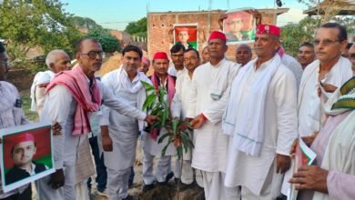 Photo of *PDA वृक्षारोपण कार्यक्रम के तहत ग्राम नारी पचदेवरा में लोकनायक जयप्रकाश वाटिका में वृक्षारोपण कार्यक्रम संपन्न*।