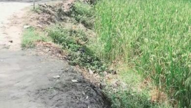 Photo of *बुढ़नपुर में मनरेगा कार्यों पर सवाल, धरातल से गायब काम कागजों में दर्ज होने का आरोप*     **ग्रामीणों ने उठाए सवाल, *देवकली ब्लॉक के जिम्मेदार *अधिकारियों की भूमिका पर भी निगाहें